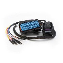 Cable de conexión: EDC17C49 MAGICMOTORSPORT - 2