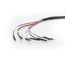 Cable de conexión: MB Bosch MDG1 MAGICMOTORSPORT - 3