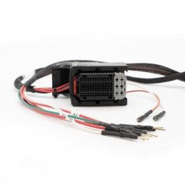Cable de conexión: EDC16CP31