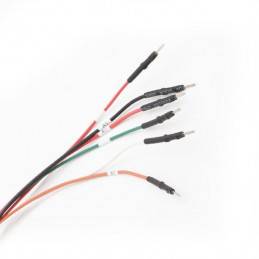 Cable de conexión: EDC16CP31 MAGICMOTORSPORT - 3