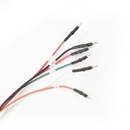 Cable de conexión: EDC16CP31 MAGICMOTORSPORT - 3